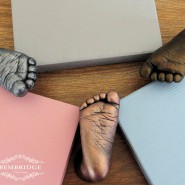 Wood and Colour Options